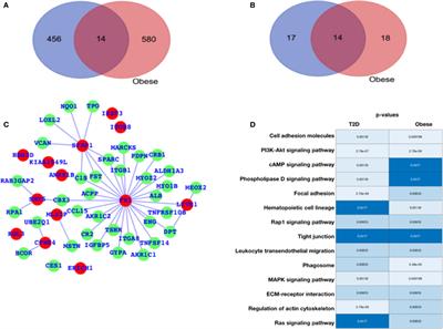 In-Silico Study of Immune System Associated Genes in Case of Type-2 Diabetes With Insulin Action and Resistance, and/or Obesity